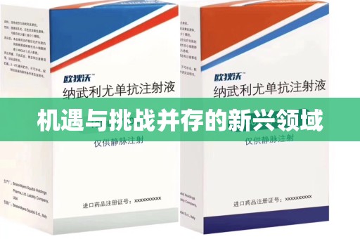 潍坊机遇与挑战并存的新兴领域