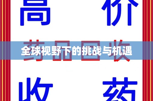 潍坊全球视野下的挑战与机遇