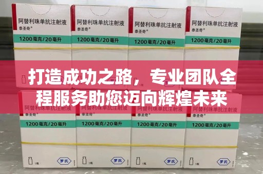 潍坊打造成功之路，专业团队全程服务助您迈向辉煌未来