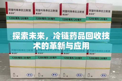 潍坊探索未来，冷链药品回收技术的革新与应用