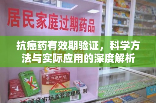 潍坊抗癌药有效期验证，科学方法与实际应用的深度解析